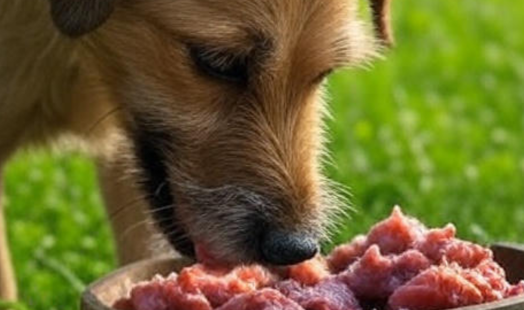 raw food environmental benefit