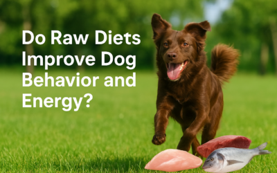Do Raw Diets Improve Dog Behavior and Energy? What Studies Say