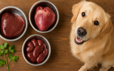 The Role of Organ Meat in Your Dog’s Raw Diet