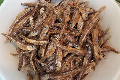 Smelt Smelt-paw-on-raw-dog-food-southern-ontario-canada