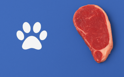 Top 5 Myths About Raw Feeding