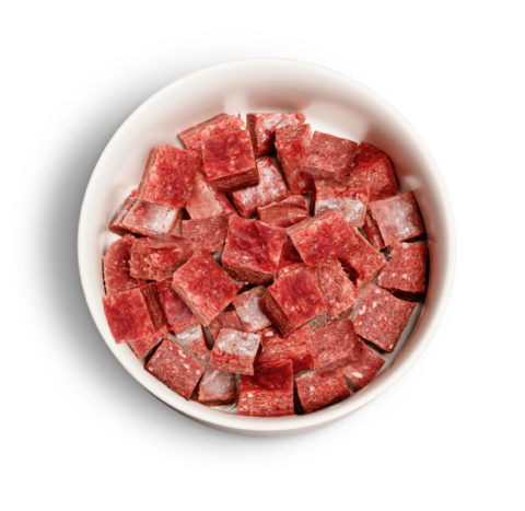 Best Raw Dog Food Mississauga_Paw On Raw